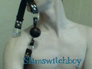 Slimswitchboy