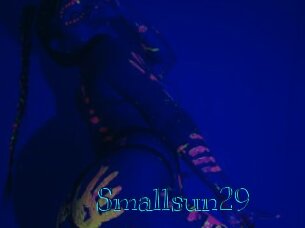 Smallsun29