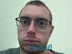 Snakefl