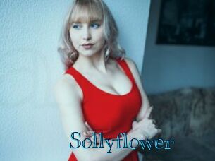 Sollyflower