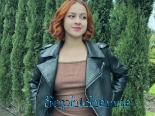 Sophicherrie