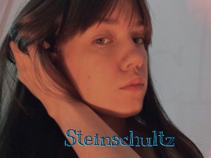 Steinschultz