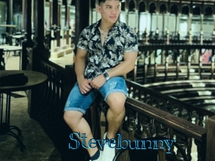 Stevebunny