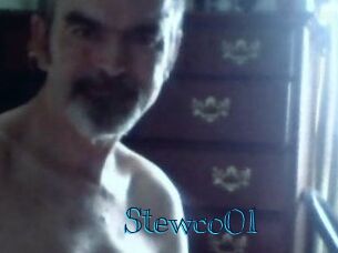 Stewco01