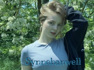 Synnebanwell