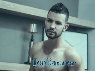 TeoBanner