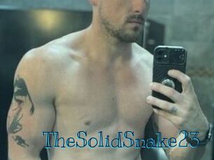 TheSolidSnake23