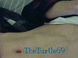 TheTurtle69