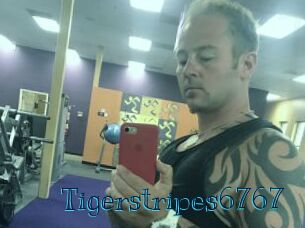 Tigerstripes6767