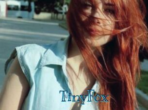 TinyFox