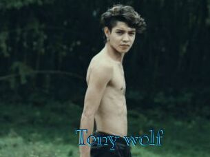 Tony_wolf