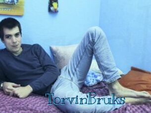 TorvinBruks