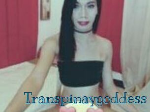 Transpinaygoddess