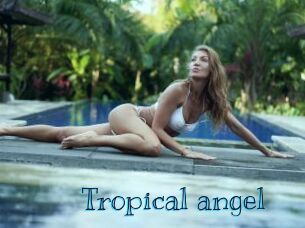 Tropical_angel