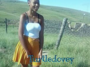 Turtledovey