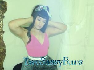 TwoSassyBuns