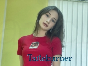 Taiteburner