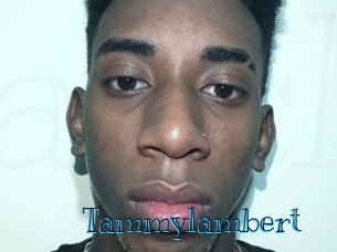 Tammylambert