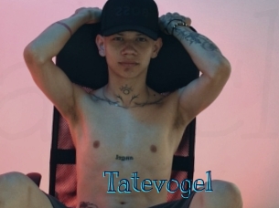 Tatevogel