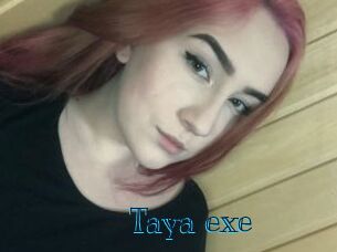 Taya_exe