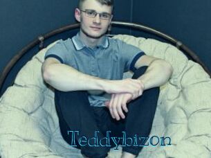 Teddybizon