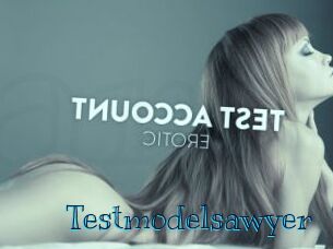 Testmodelsawyer