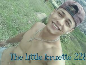 The_little_bruette_228