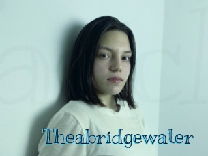 Theabridgewater