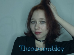 theacrumbley Archive DVD BIZ