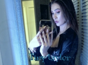 Tiny_taylor