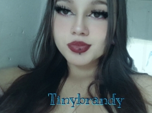 Tinybrandy