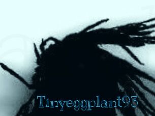 Tinyeggplant93