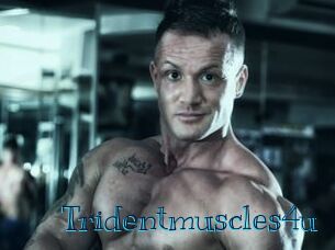 Tridentmuscles4u