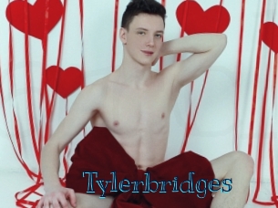 Tylerbridges