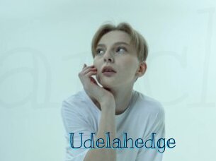 Udelahedge