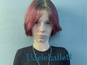 Udelehallett