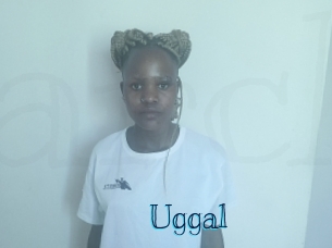 Uggal