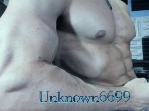 Unknown6699