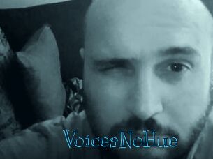 VoicesNoHue