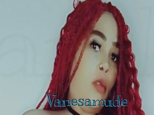 Vanesamude