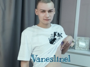 Vaneslinel