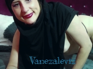 Vanezaleviz