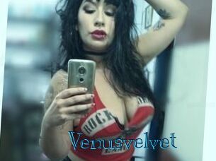 Venusvelvet