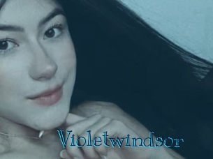 violetwindsor Archive DVD BIZ