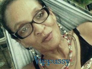 Vippussy