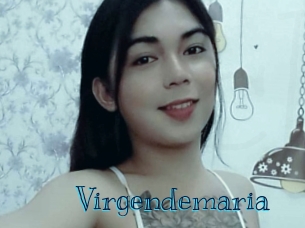 virgendemaria Archive DVD BIZ