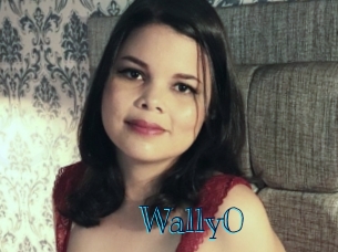 Wally0 Archive DVD BIZ