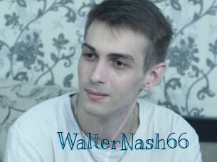 WalterNash66 Archive DVD BIZ