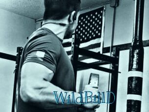 WildBillD