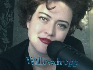 Willowdropp
